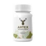 Artex-1